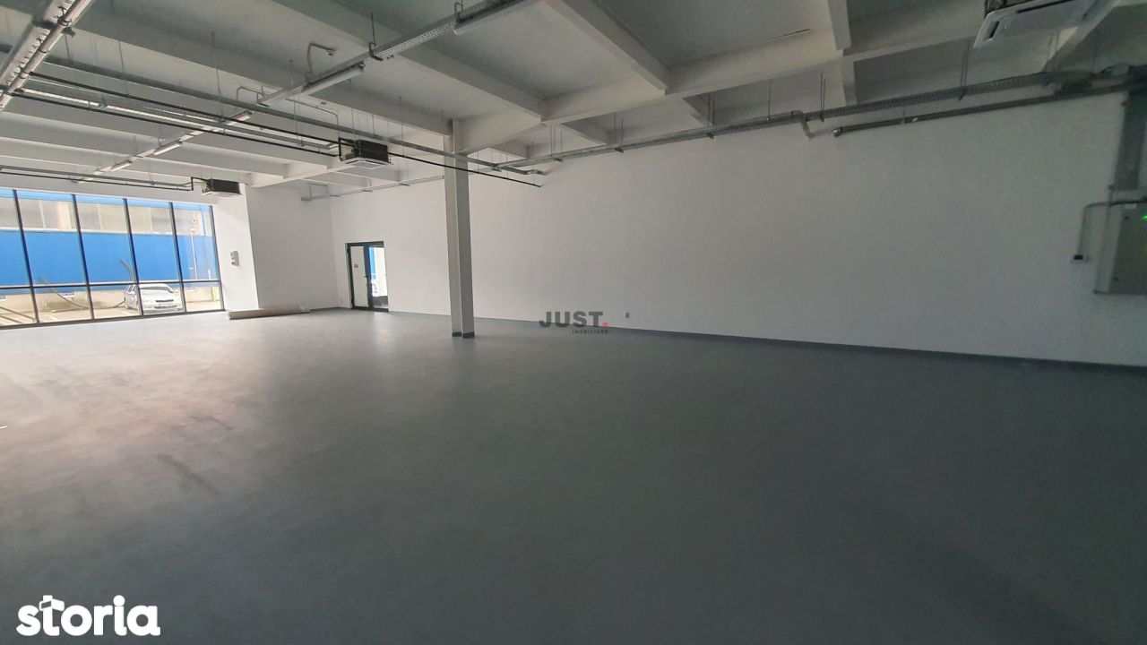 Spatiu comercial/depozitare/showroom/productie, 290 mp, Someseni
