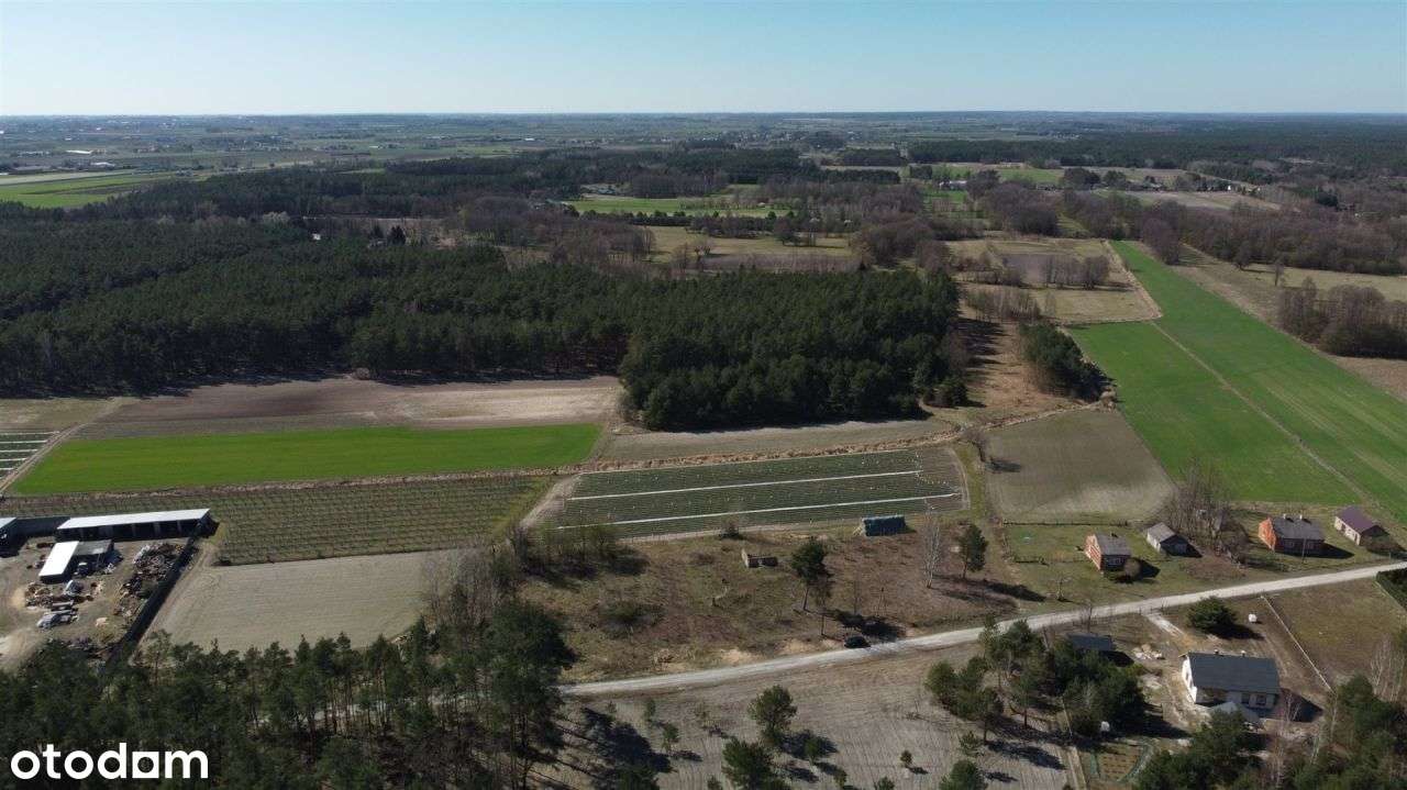 Spełnij marzenie o własnym! – 5,7 ha w Leśniakach - Pełny obrazek: 5/11