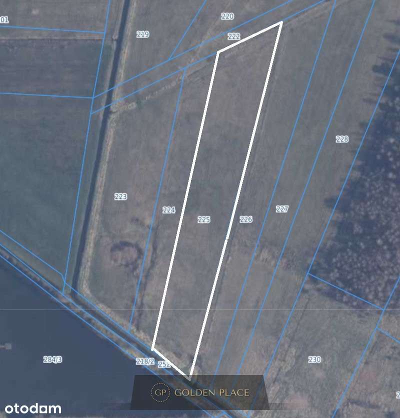 Działka Kniewo 1,23 ha - Pełny obrazek: 4/10