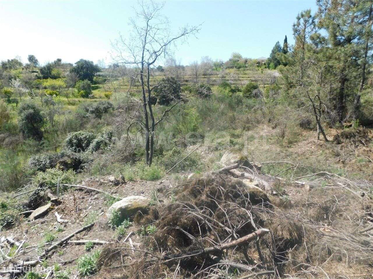 Terreno / Fundão, Póvoa da Atalaia - Grande imagem: 4/14