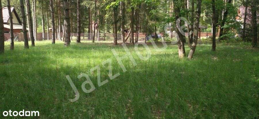 ogrodzona działka Puste Łąki - Pełny obrazek: 2/6