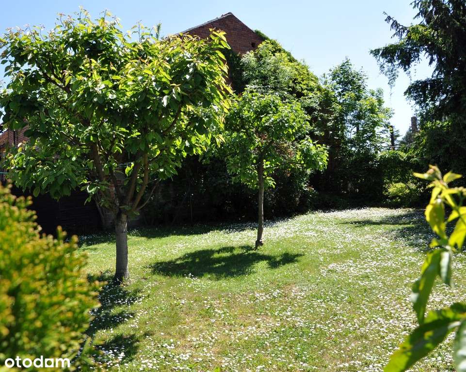 Mieszkanie z ogródkiem w m. Witaszyce-7