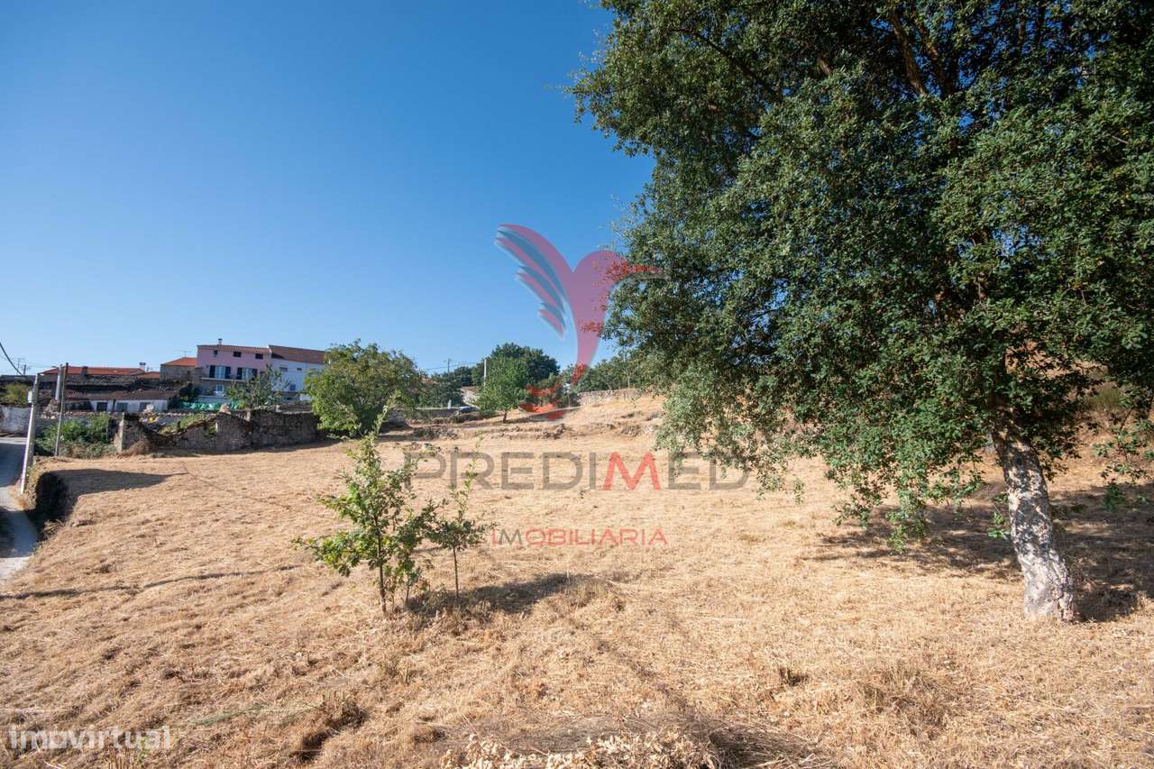 "Terreno com Ruína em Courelas, Trancoso " - Grande imagem: 4/12