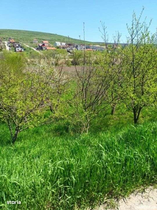 Teren de 940mp, colinar, zona Chinteni - Imagine principală: 3/4