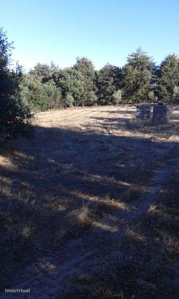 Terreno 7,800 m2  em Azambuja 60.000 € - Grande imagem: 5/7