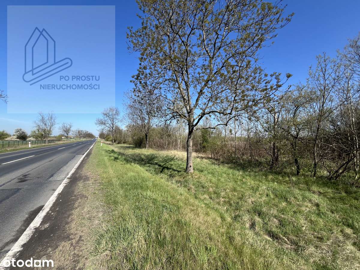 Działka inwestycyjna przy drodze krajowej  nr 94 - Pełny obrazek: 4/9
