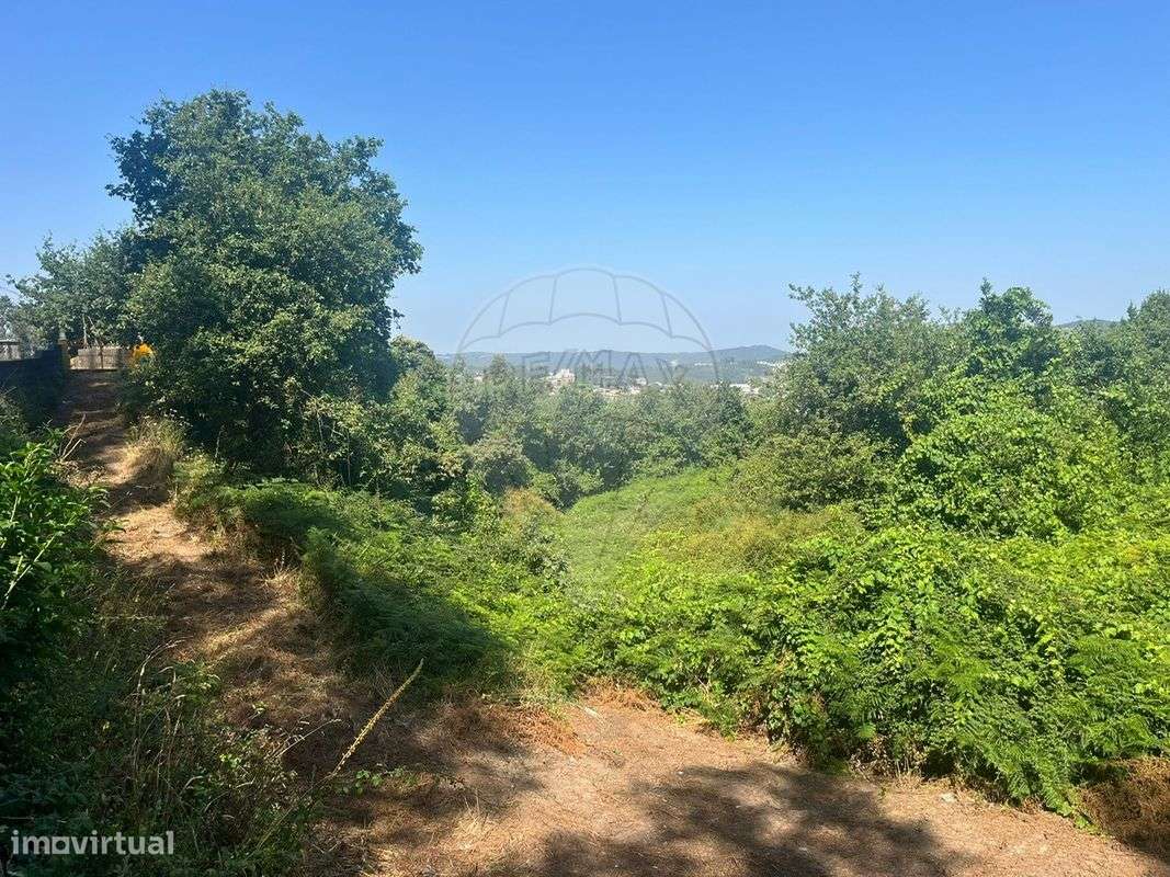 Terreno  para arrendamento - Grande imagem: 5/6