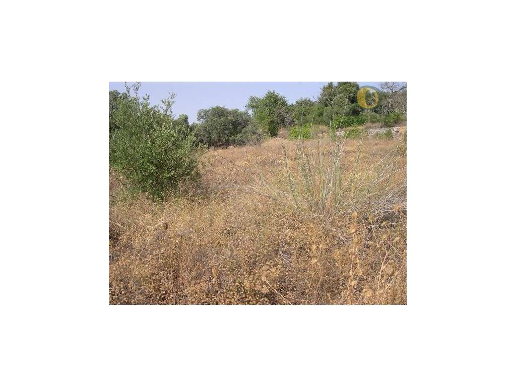 Terreno Rústico Venda Faro - Grande imagem: 2/4