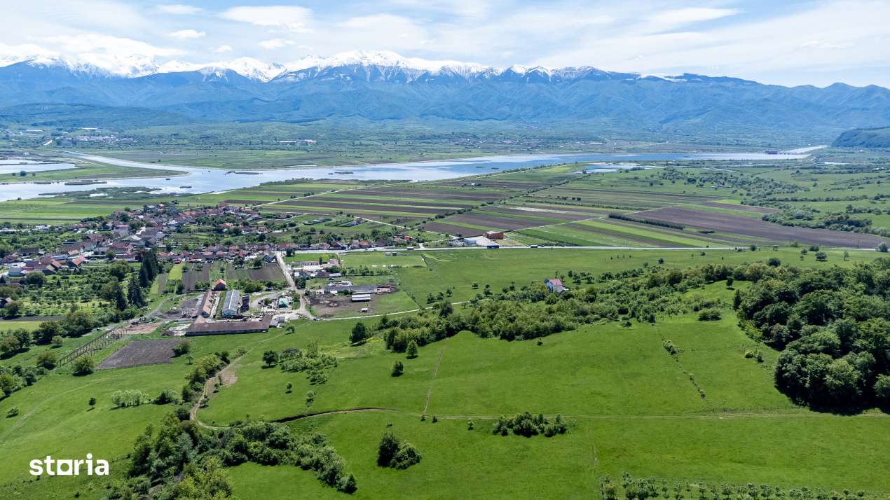 Teren 500 mp in Bradu, Sibiu – 8.000 € – Zona linistita, priveli-9