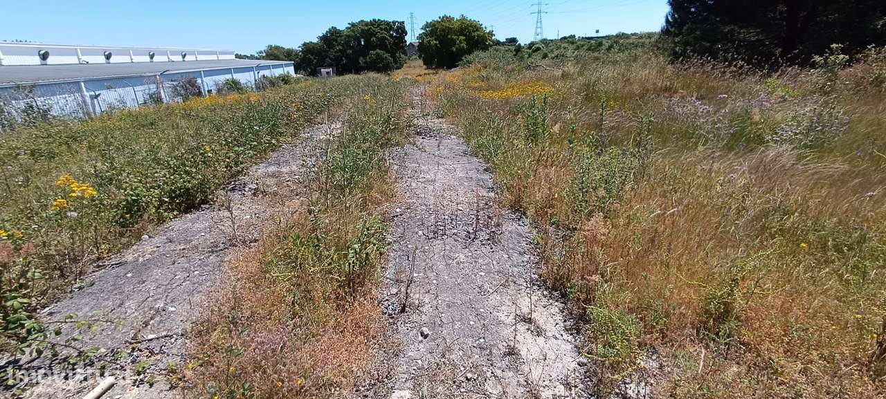 Terreno Rústico – Palmela-6