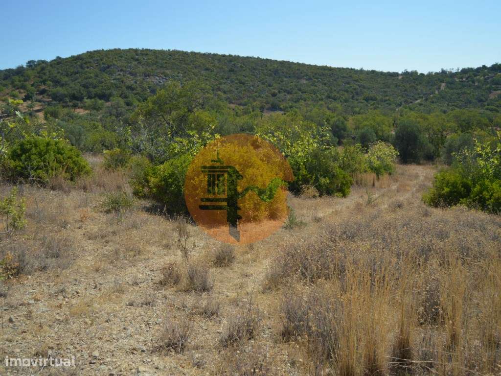 Terreno Rústico Desbarato, Santa Catarina da Fonte do Bispo - Grande imagem: 5/19