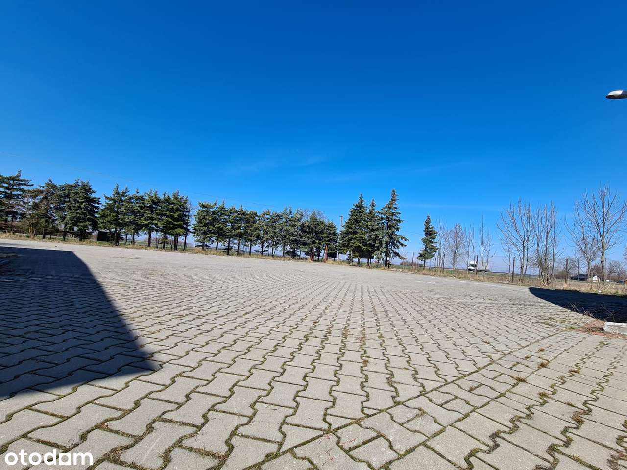 HALA 550m , plac 7300m, biurowiec, SUSZARNIA - Pełny obrazek: 5/20