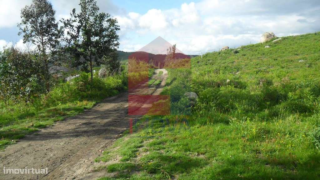 Terreno, Godinhaços - Grande imagem: 4/14