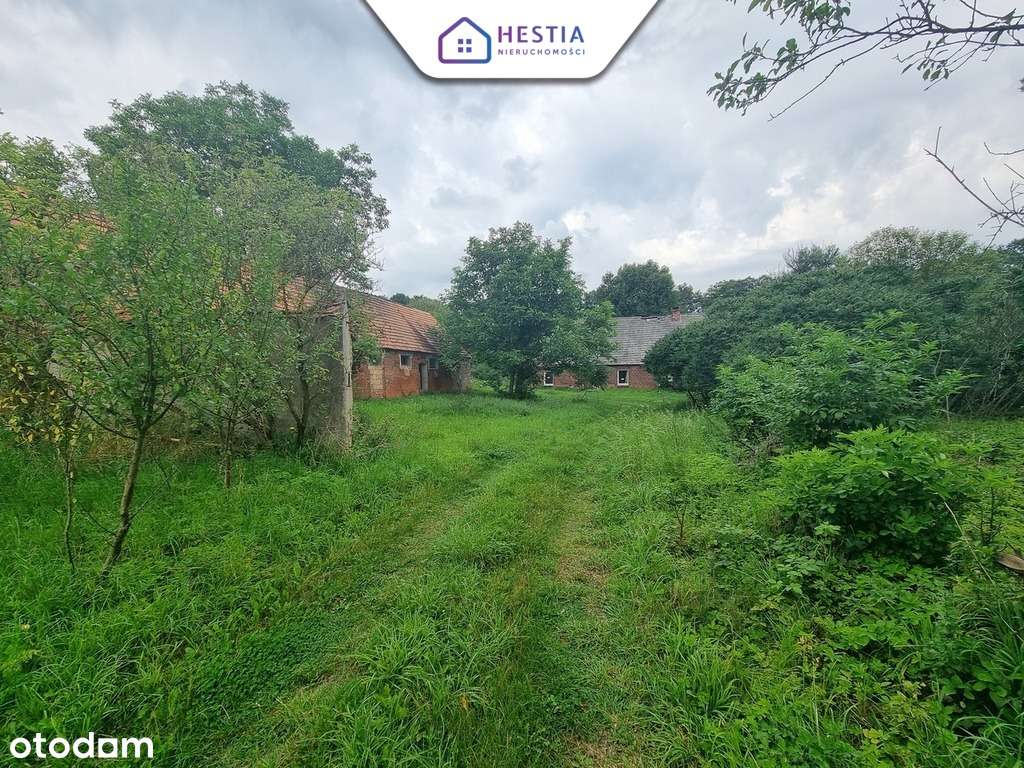 Dom z dostępem do jeziora!-3