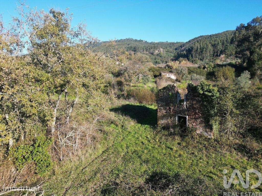 Terreno para construção em São Miguel, Santa Eufémia e Rabaçal de 7007 - Grande imagem: 4/15