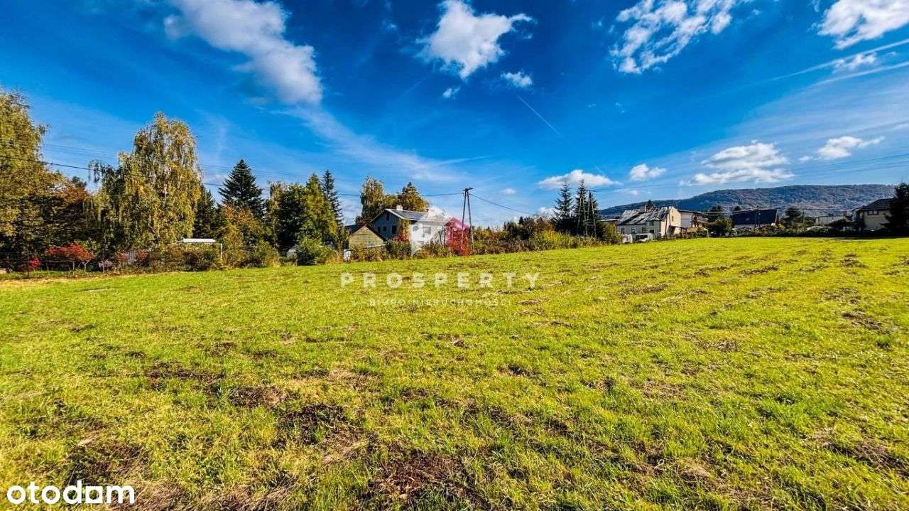 Działka budowlana pod lasem Kozy - Pełny obrazek: 5/10