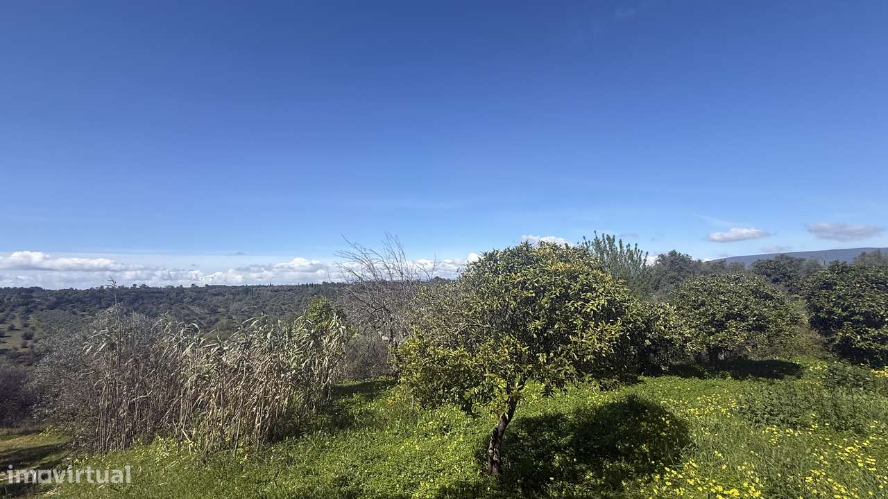Moradia Isolada com Terreno Amplo em Parceiros da Igreja, torres novas-21
