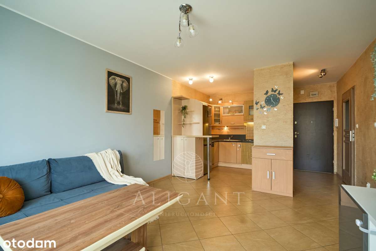 2 pokoje *Świetny układ *Dobra komunikacja - Pełny obrazek: 4/19