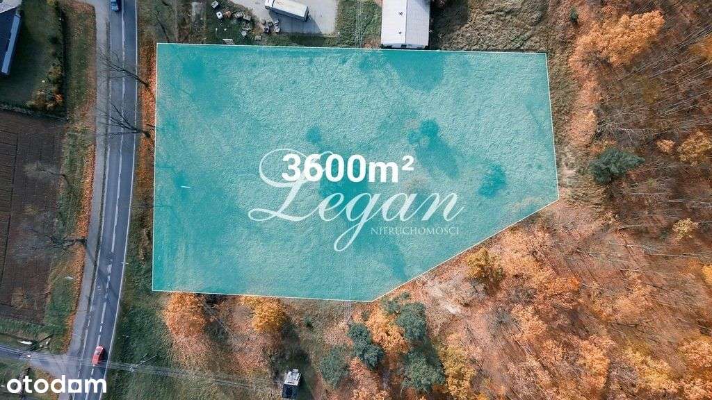 Działka usługowa 3600 m² w Motylewie - Pełny obrazek: 4/6