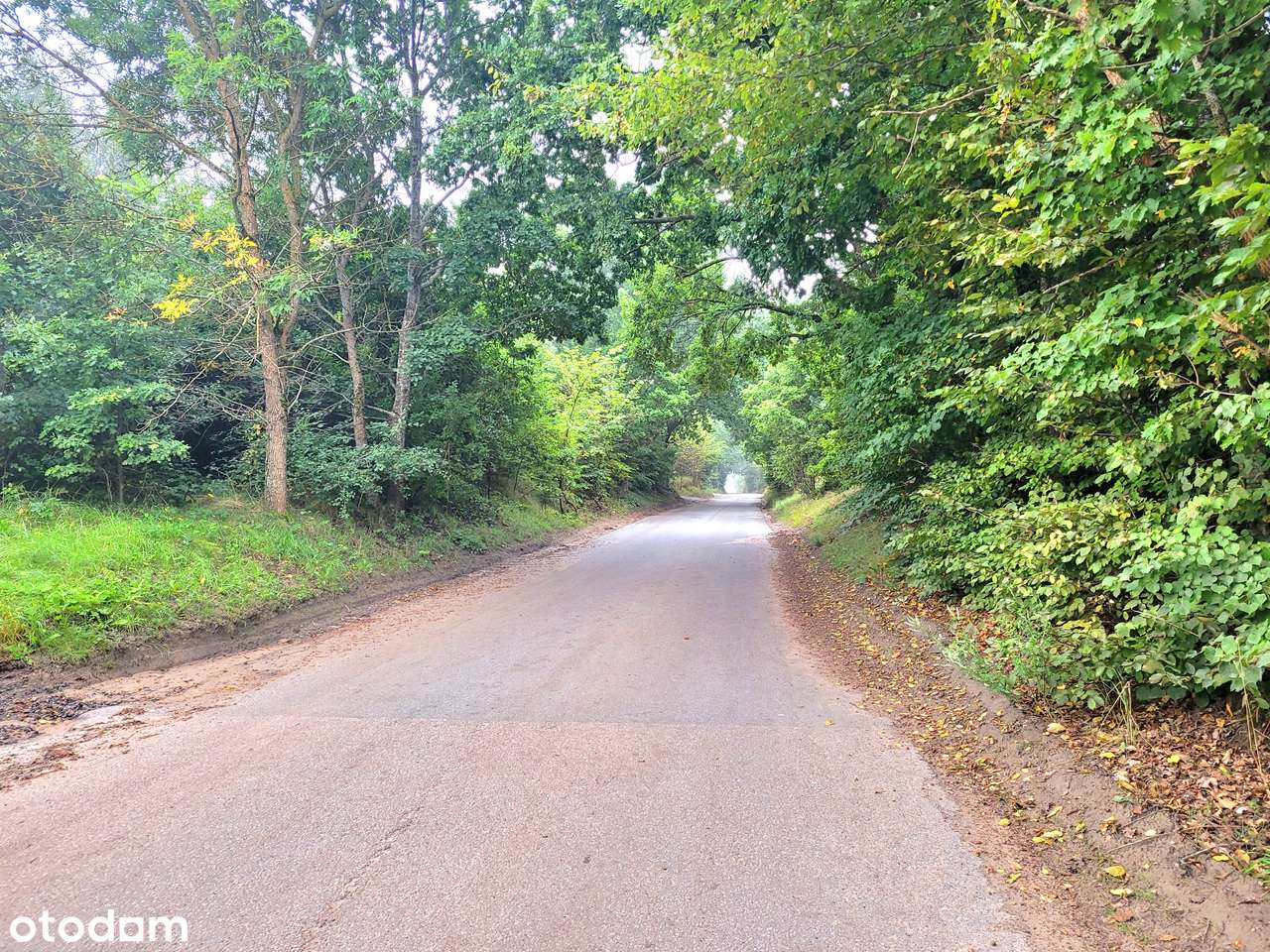 PKM 600 m|Las|Blisko S7 i Obwodnicy |Możliwość zakupu 3 działek-4
