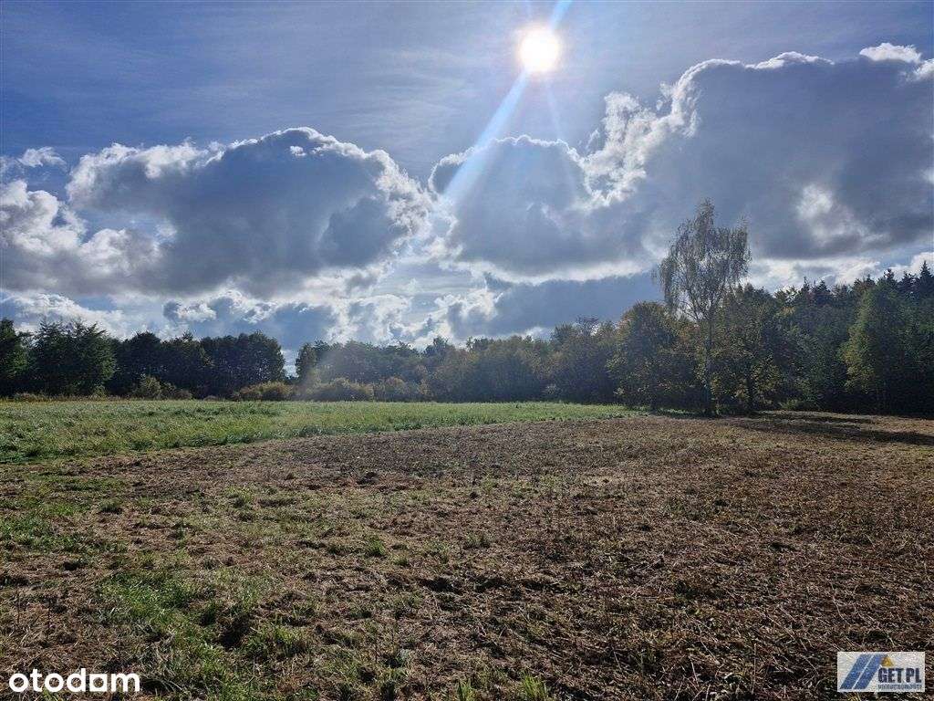 Kraków Skotniki piękna działka rolna - Pełny obrazek: 2/12