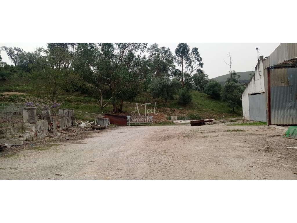 HERDADE NA SERRA DE PALMELA - Grande imagem: 2/22