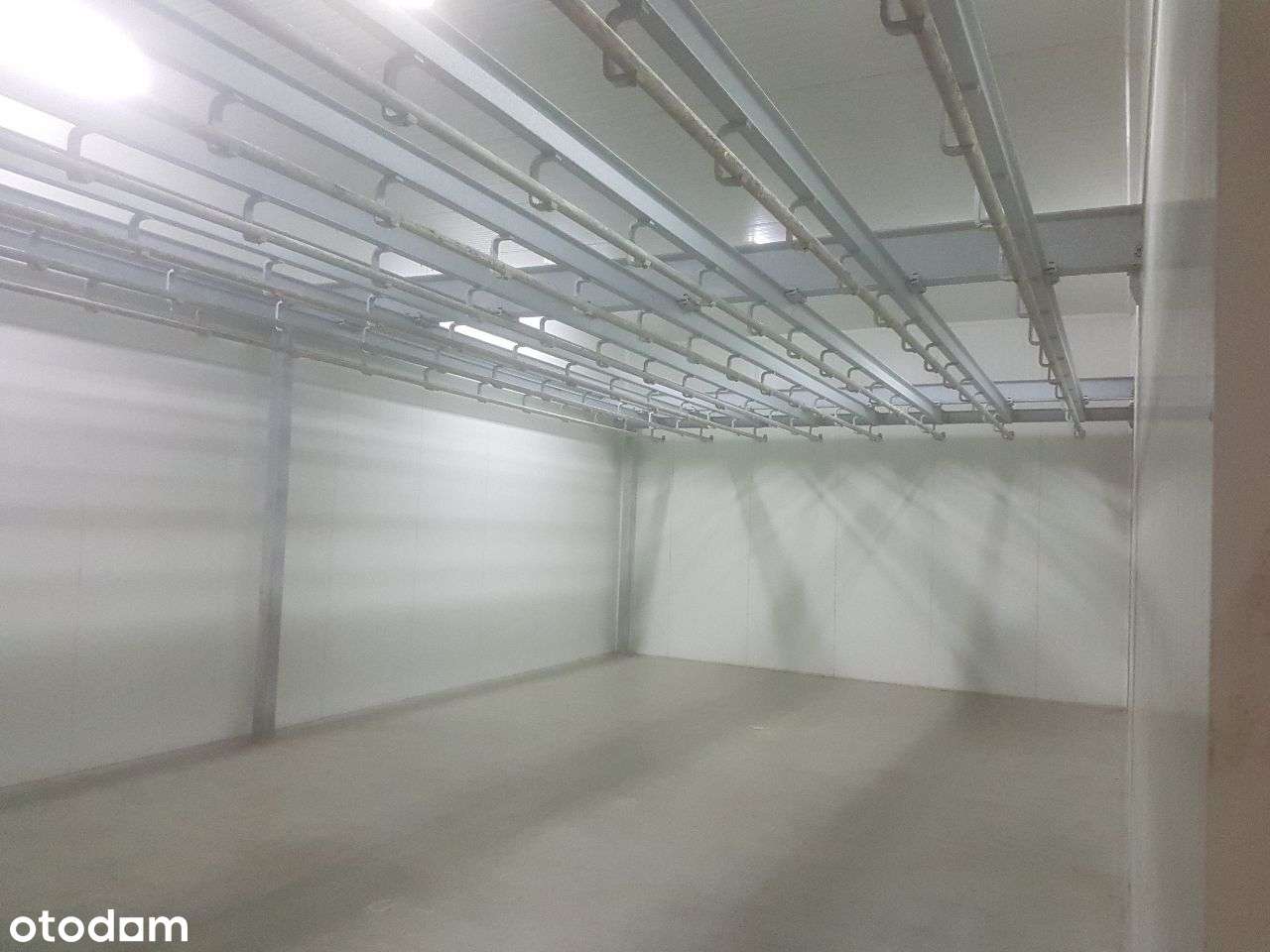 Wynajmę hale na magazyn warsztat itd - Pełny obrazek: 3/14