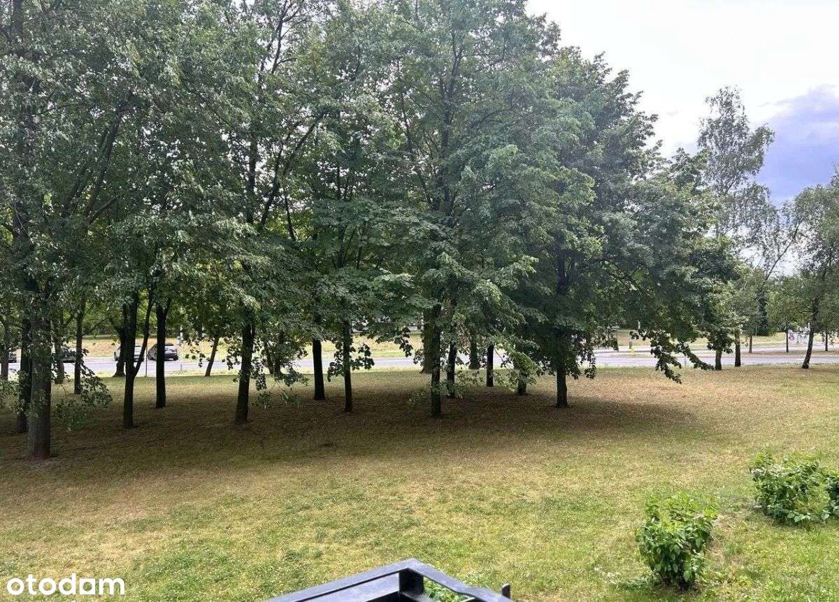 os. Wichrowe Wzgórze, 2 pokoje, po remoncie!-12