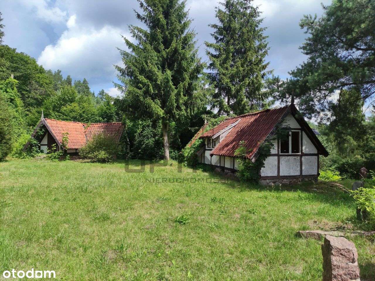 Bajkowe siedlisko z linią brzegową - Warmia i Mazu-5