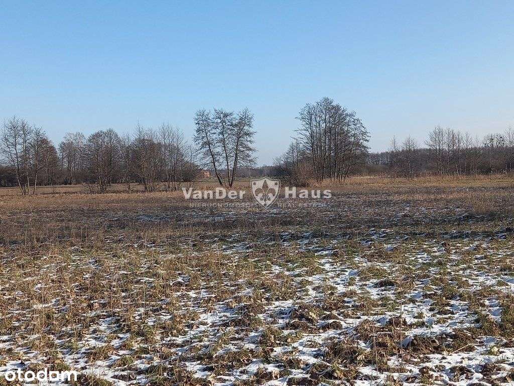 Działka w Nekli 955 m2 - Pełny obrazek: 5/9