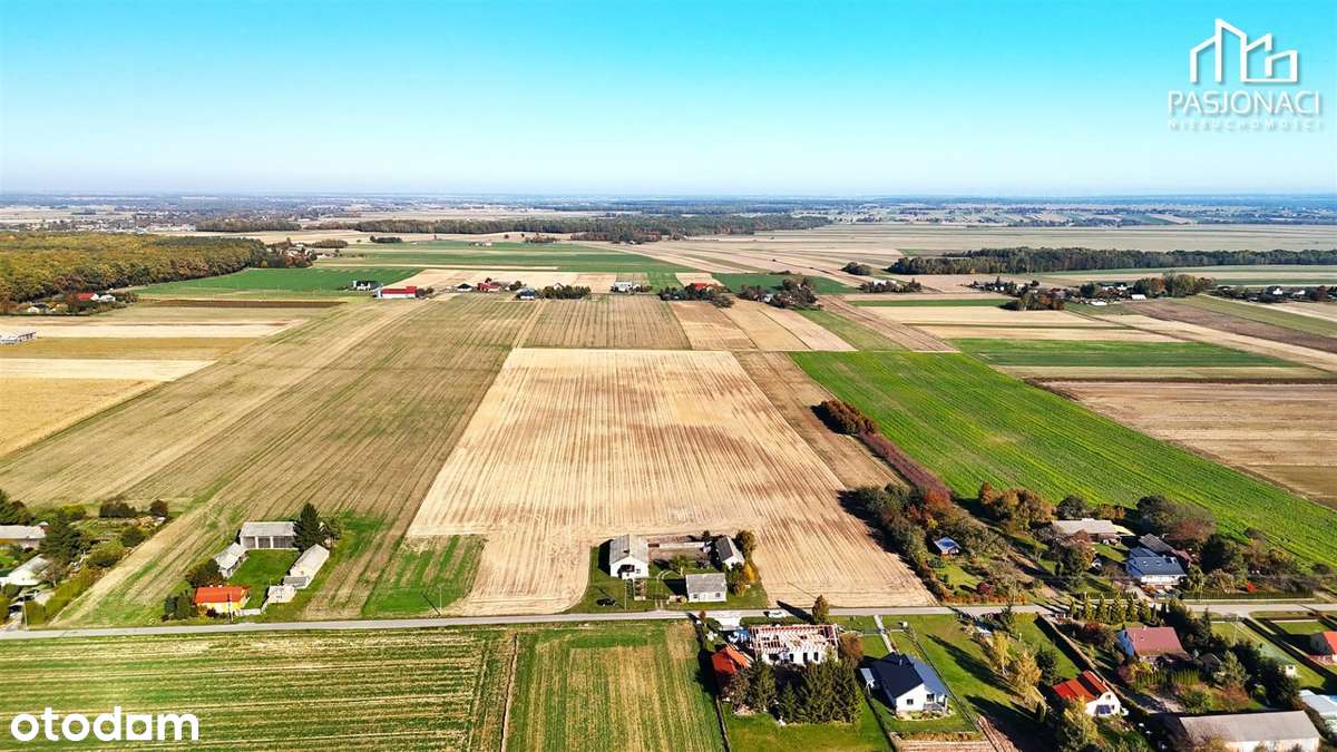 Działki budowlane Kolonia Kiełczewice Dolne - Pełny obrazek: 5/10