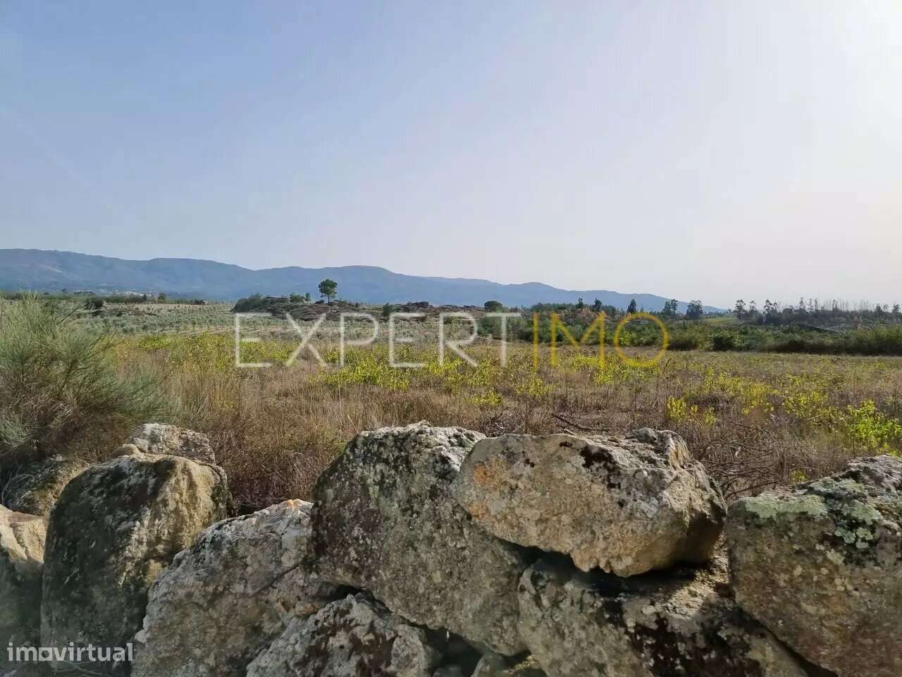 Terreno com acesso pela EN 17 Gouveia-Seia - Grande imagem: 4/9