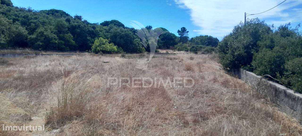 Terreno Rustico - Grande imagem: 2/4