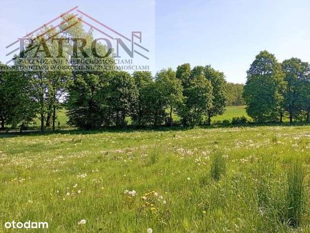 Działka budowlana w malowniczej wsi Włodzice Małe.-1