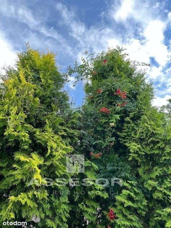 Szukasz domu, to dobry wybór, zamieszkasz od zaraz.-11