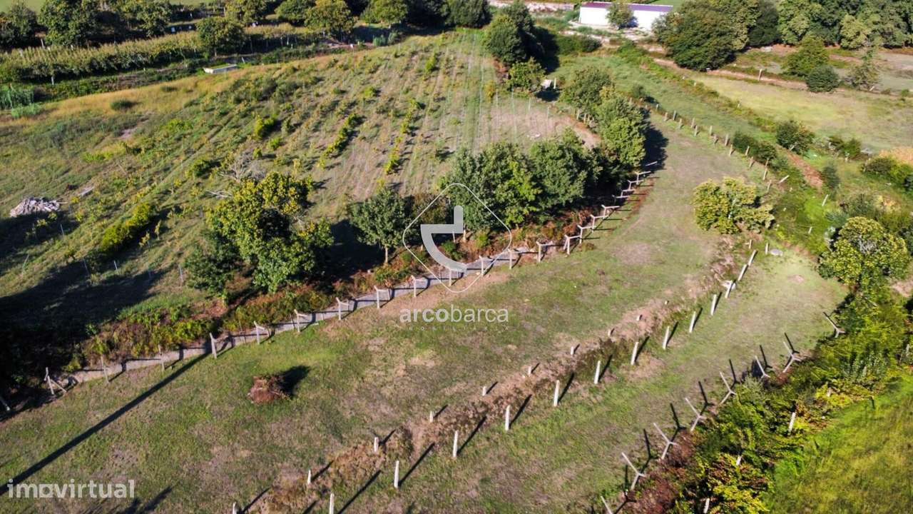 Quintinha com Potencial para Recuperação junto à Vila-31