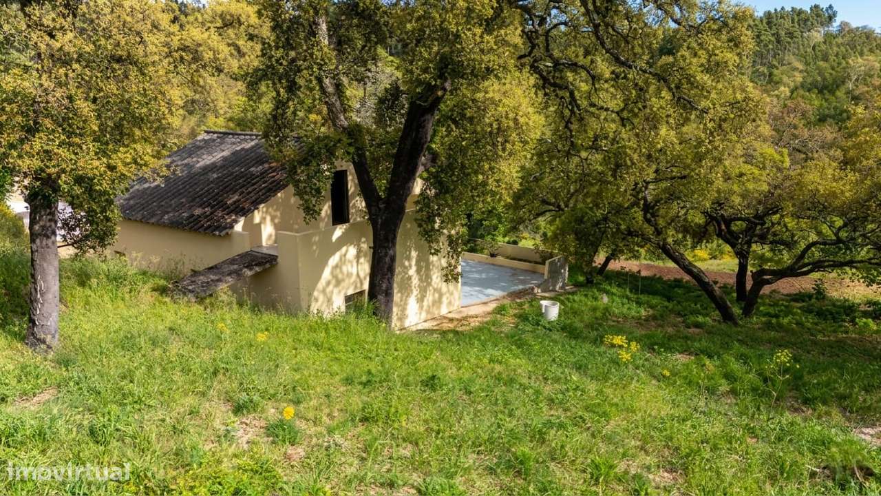 A house in the forest - Grande imagem: 2/11