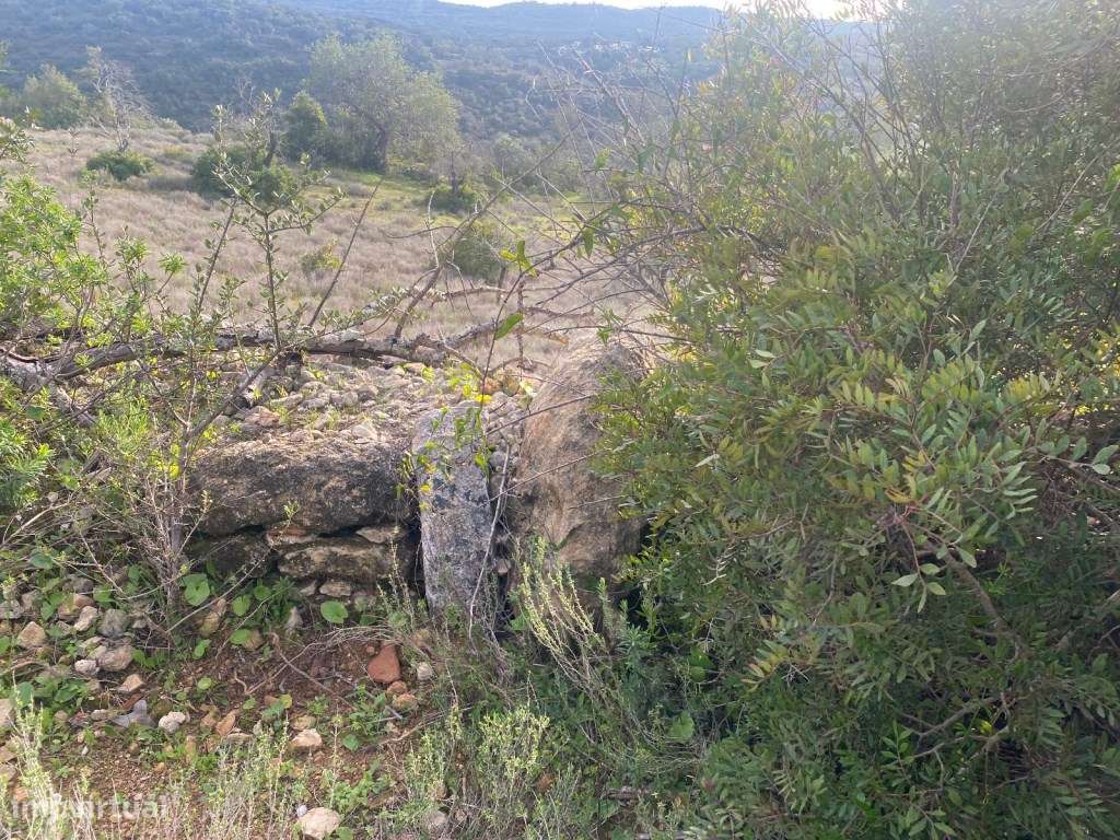 Terreno rústico com 3300m2, Loulé, Algarve - Grande imagem: 4/14