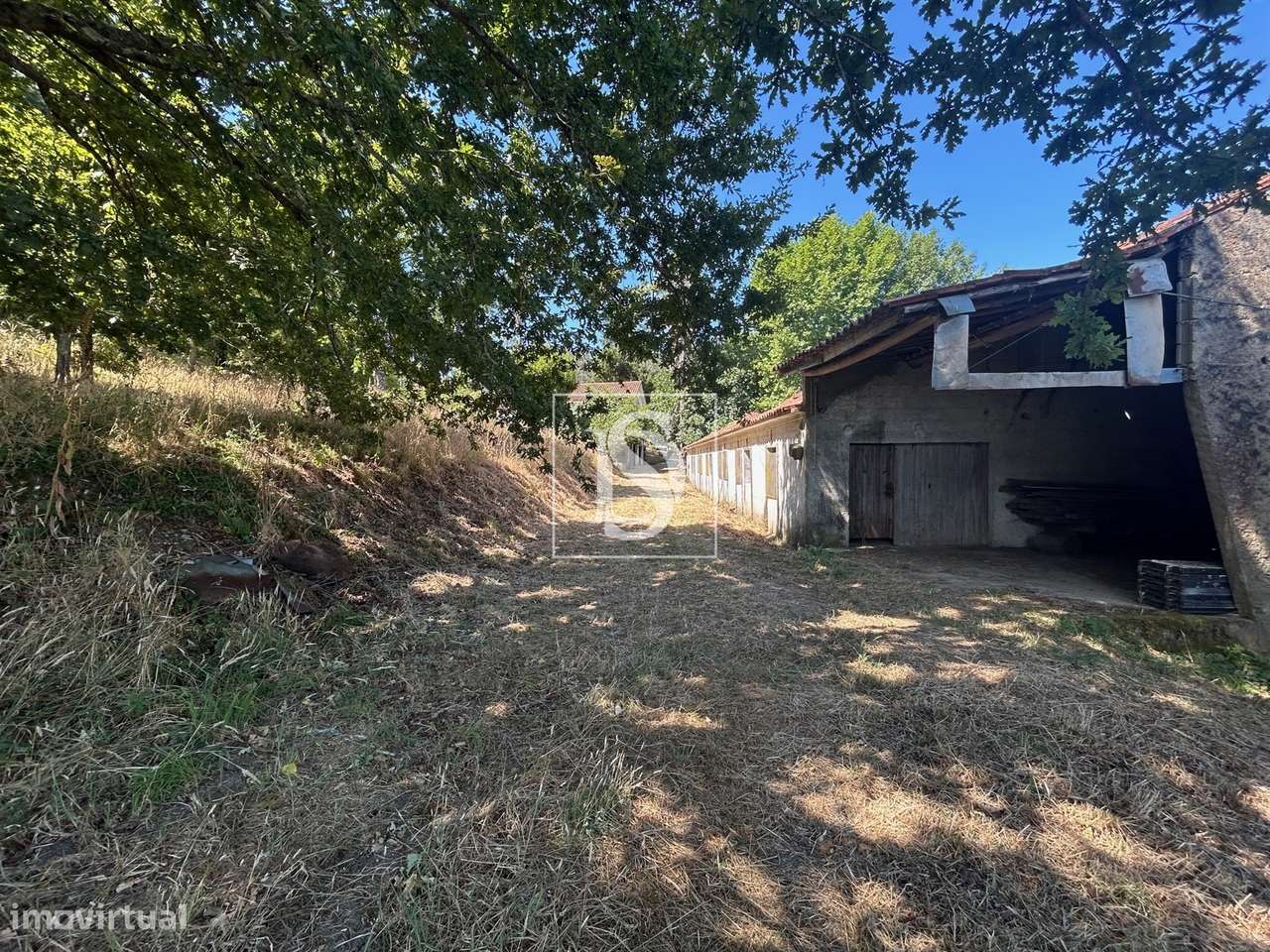 Quinta com 24.300m² em Vale de Açores, Mortágua-54