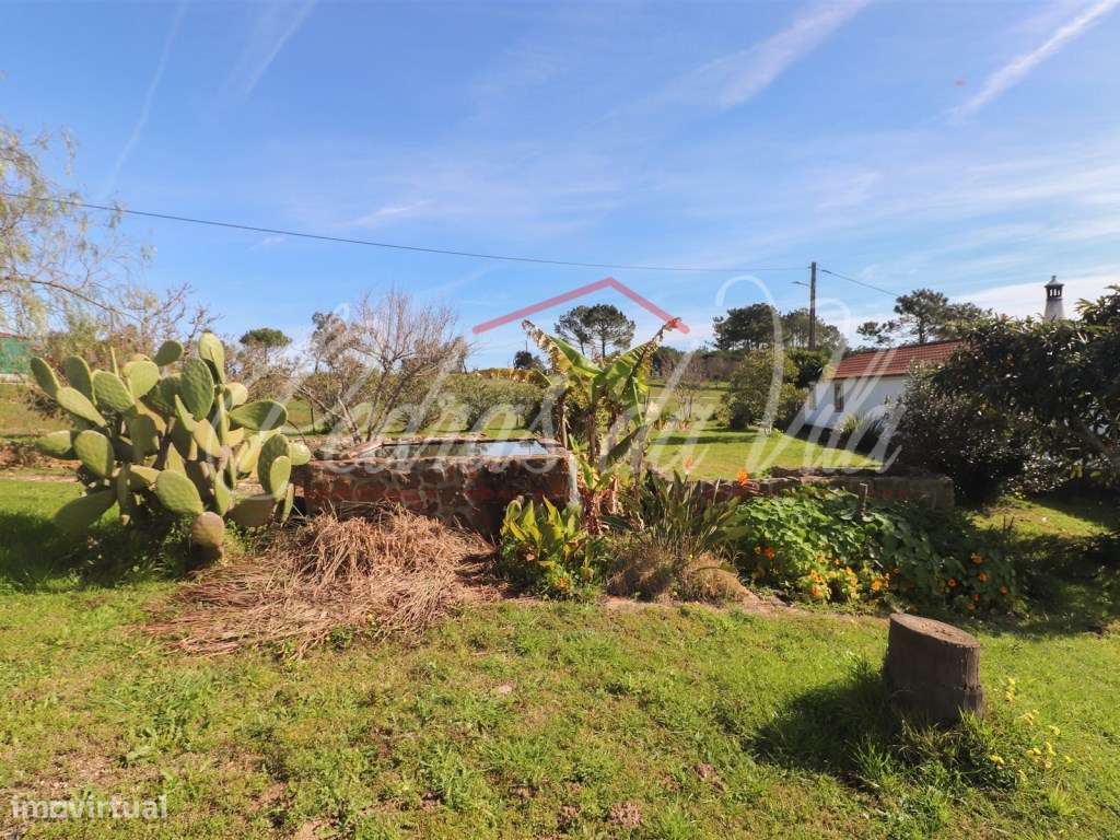 Quinta com 6,5ha em Vale Juncal - São Teotónio-6