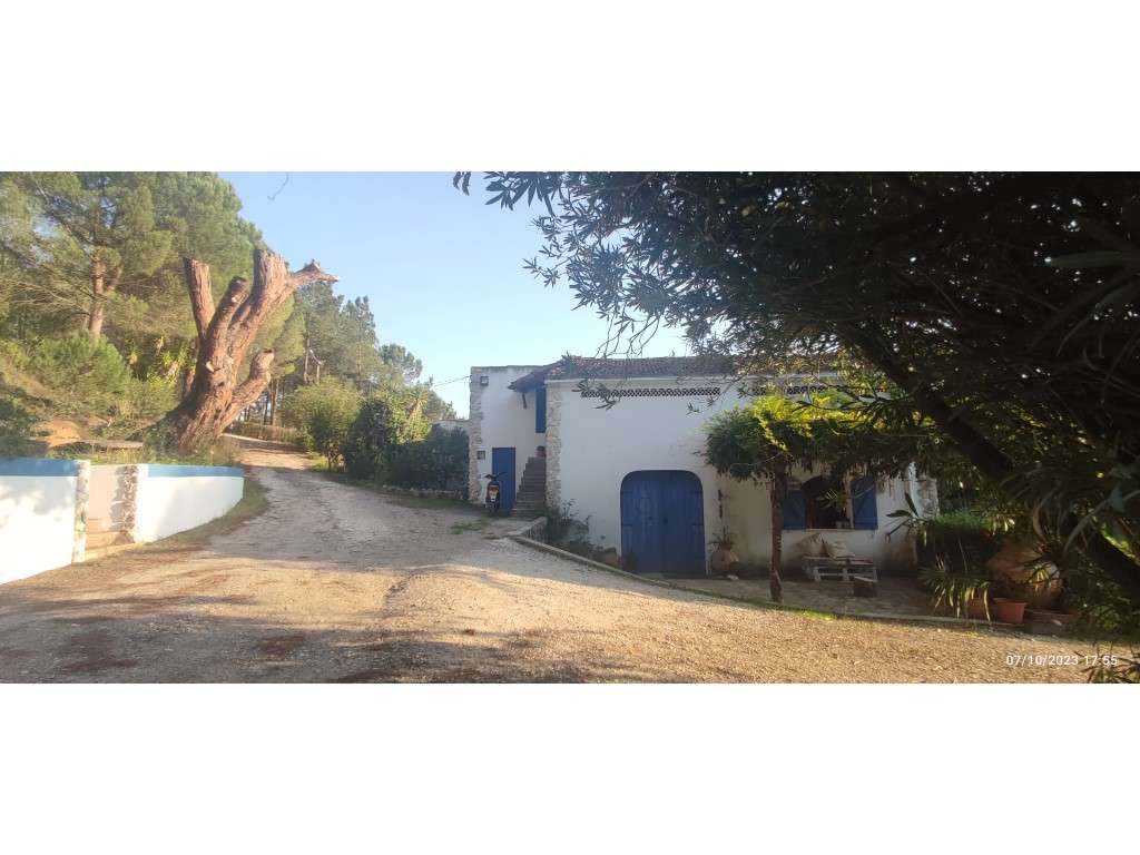 Quinta com duas moradias, anexos, diversas arvores de fruto, vinha ...-56