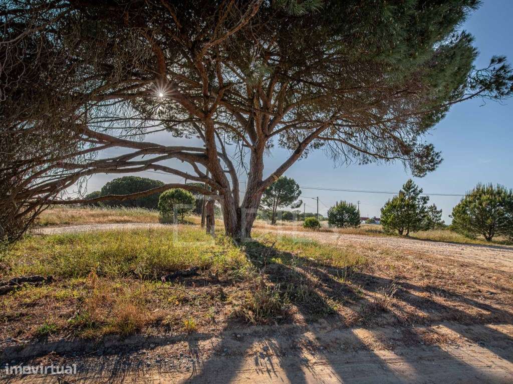 Terreno com Projeto Aprovado, Melides - Grande imagem: 5/30