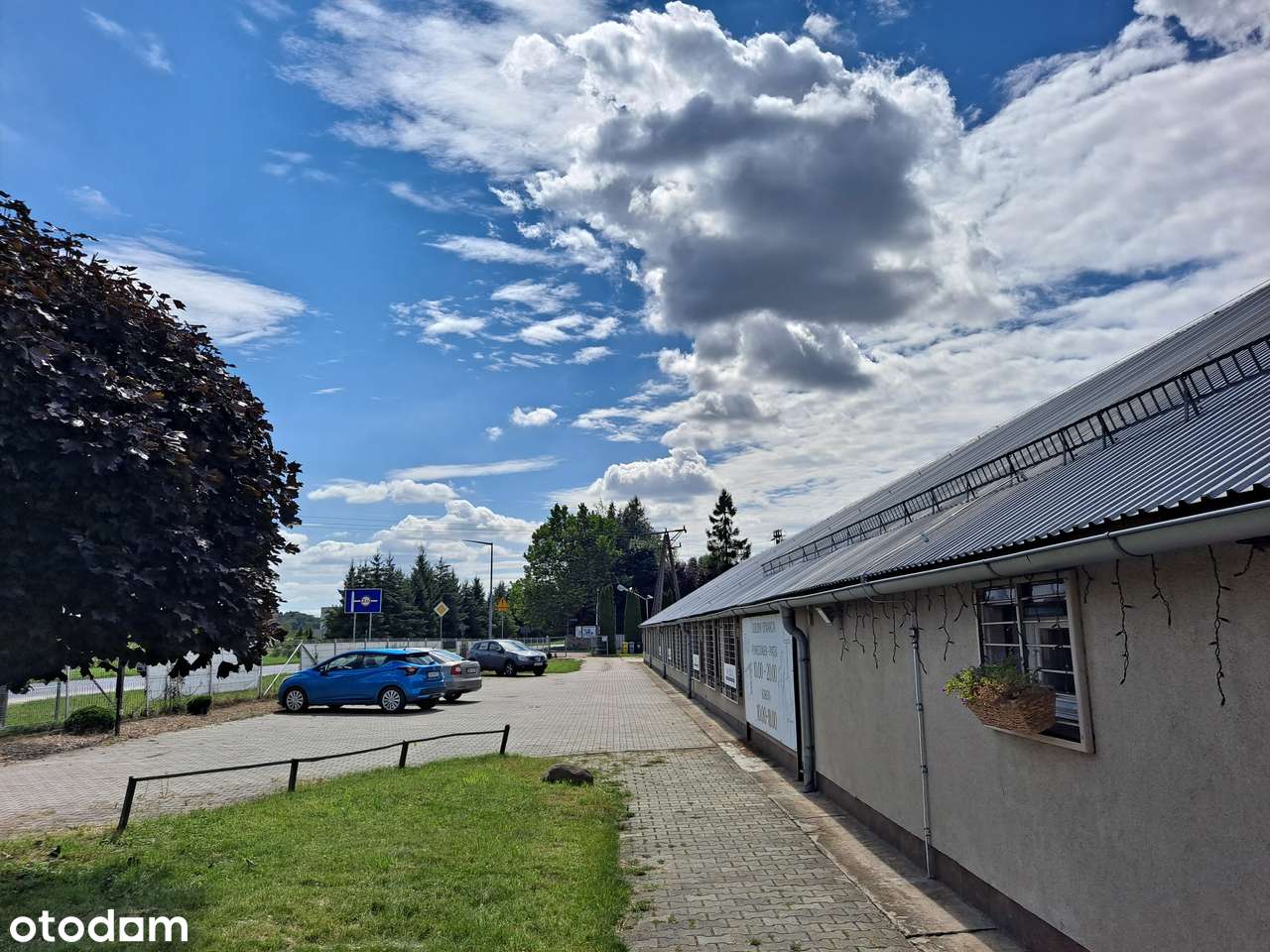 Lokal użytkowy, 840 m², Wysoka - Pełny obrazek: 3/11