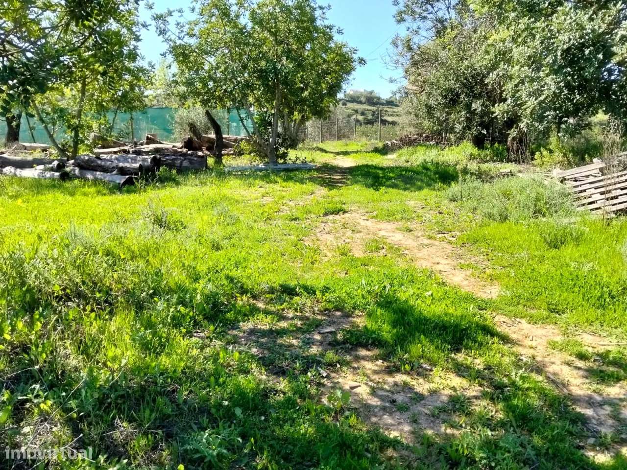 Lote de Terreno Rustico - Grande imagem: 4/10