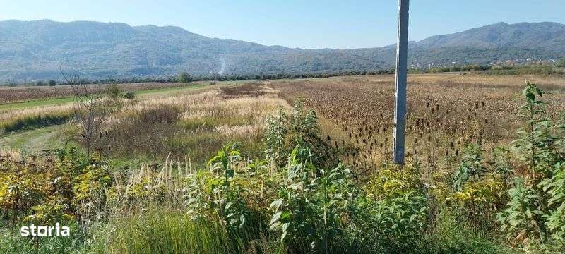 Vand teren zona calimanesti - Imagine principală: 4/8