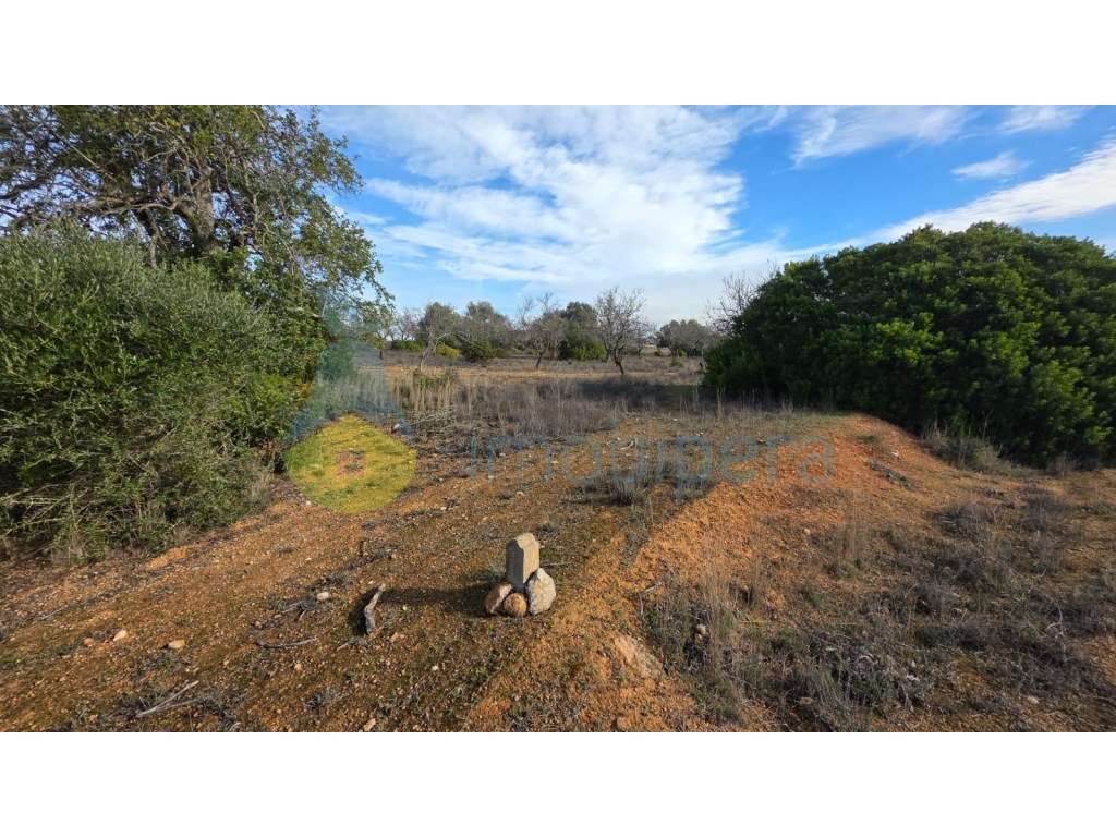 Terreno Rústico com 3730m2 em Guia, Albufeira-7