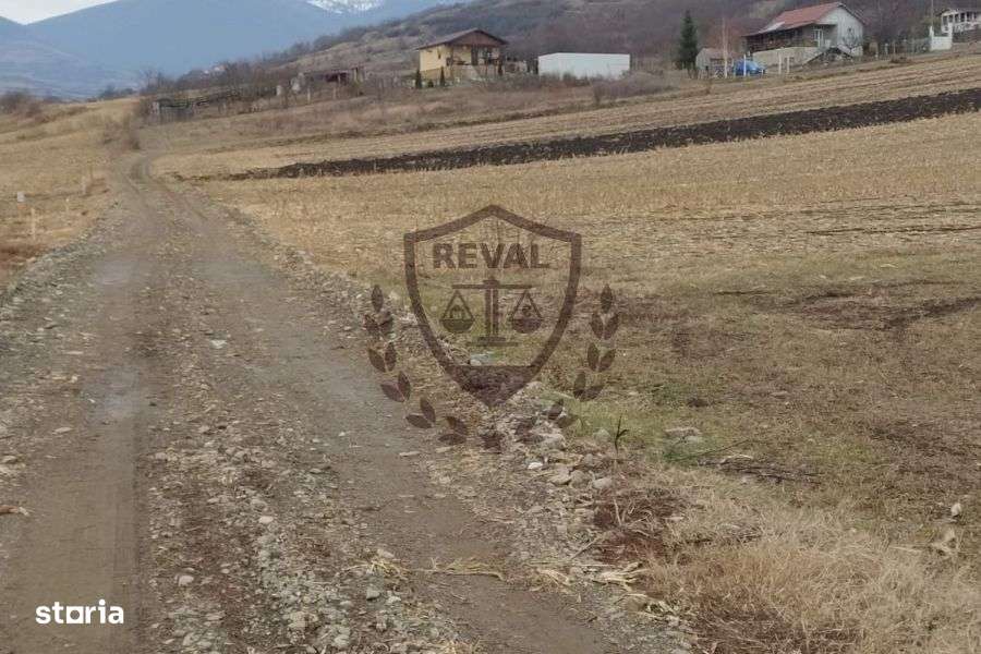 Teren intravilan generos în Ighiu, ideal pentru investiții, 2.900 mp. - Imagine principală: 2/6