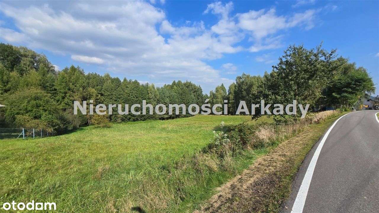 Piękna działka pod lasem-7