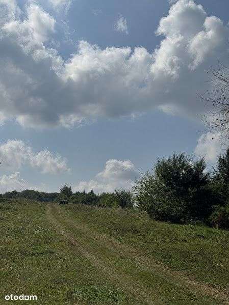 Malownicza działka z domem – 20,55 ar, Stara Wieś - Pełny obrazek: 5/13