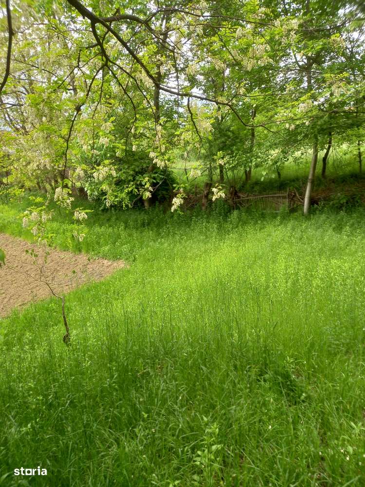 Teren de vanzare ideal casa de vacanta sat Blaju Comuna Tigveni - Imagine principală: 2/5